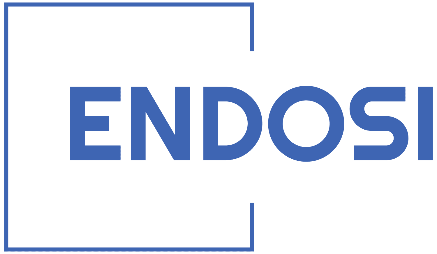 Endosi